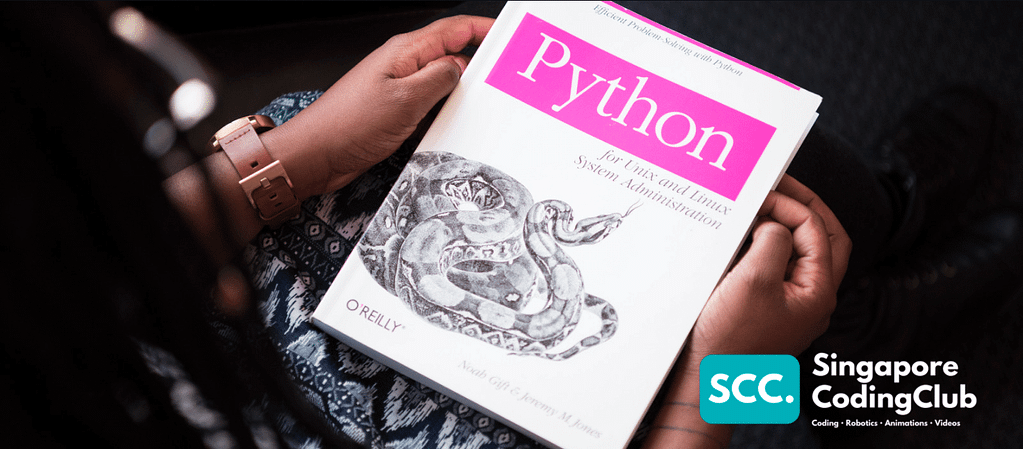 4 Easy to Make Games Using Python! - Singapore Coding Club