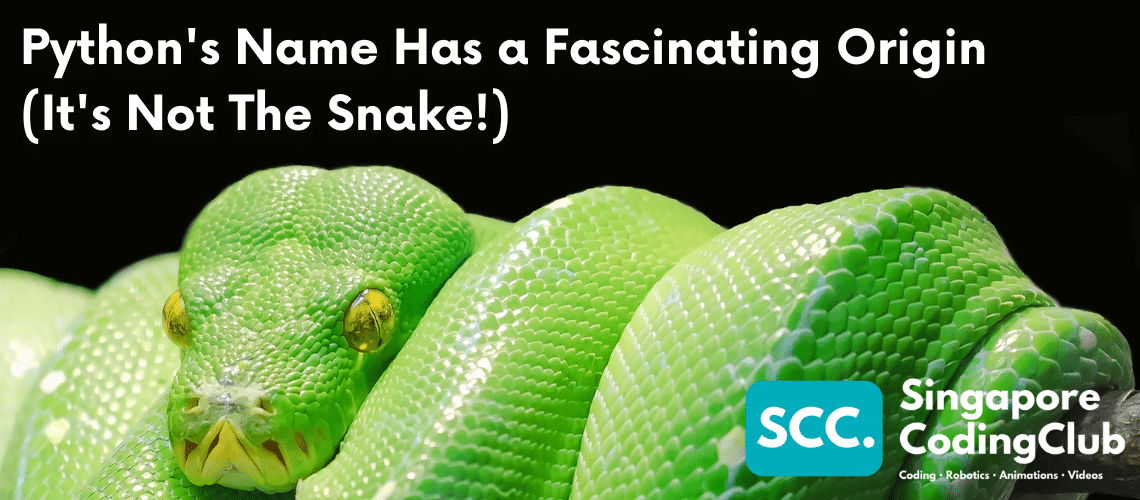 Pythons Name Has a Fascinating Origin Its Not The Snake pjxoguzerknkxicvrwaxckdhcfmnlqwlk
